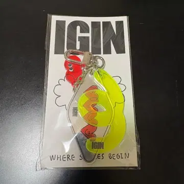 IGIN 아크릴 키링 IGIN jin bts 아이긴 POPUP