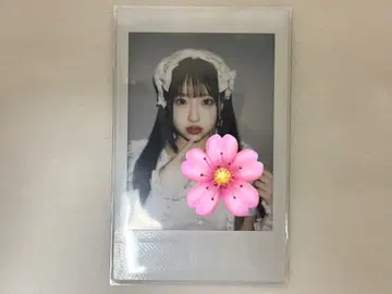 큐스토 PiKi 사쿠라바 하루카 촬영 솔로 폴라로이드