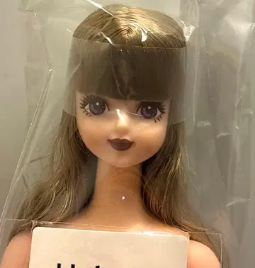 리카짱 캐슬 오타노시미 인형 제니 프렌드 사야카