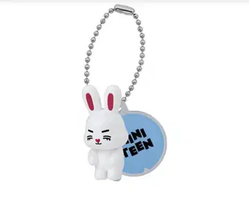 MINITEEN 미니틴 가챠 에스쿱스 정한 4종
