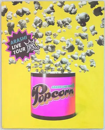 아라시 12-13년 Popcorn 팜플렛