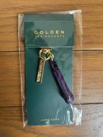 BTS JUNG KOOK 정국 GOLDEN 마이크 키링