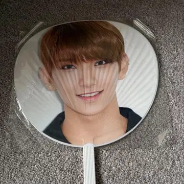 SEVENTEEN DIAMOND EDGE 조슈아 부채