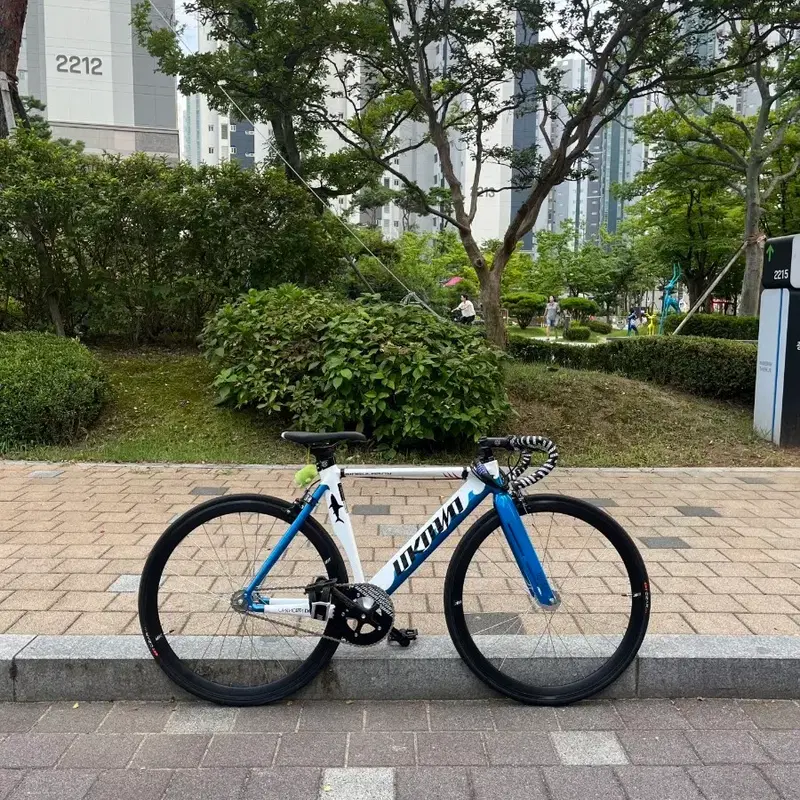 언노운 샤크 픽시
