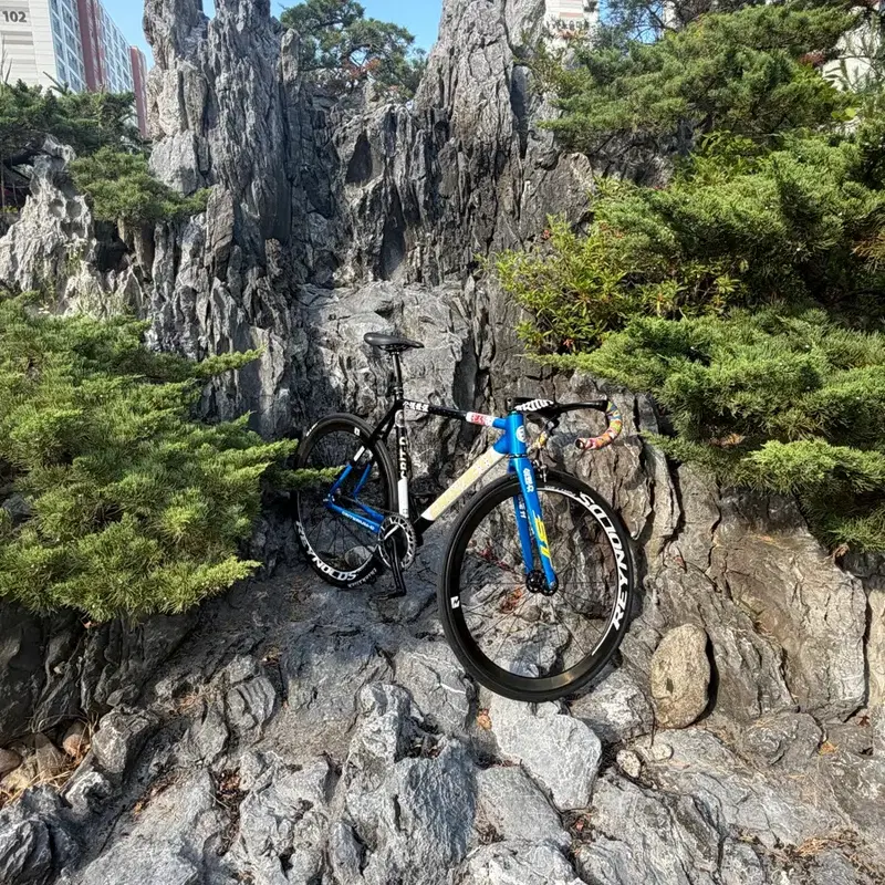 엔진11 블루스킨 쿨거시 네고 개많이 가능