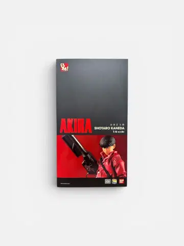 PROJECT BM! 카네다 쇼타로 AKIRA 메디콤 토이