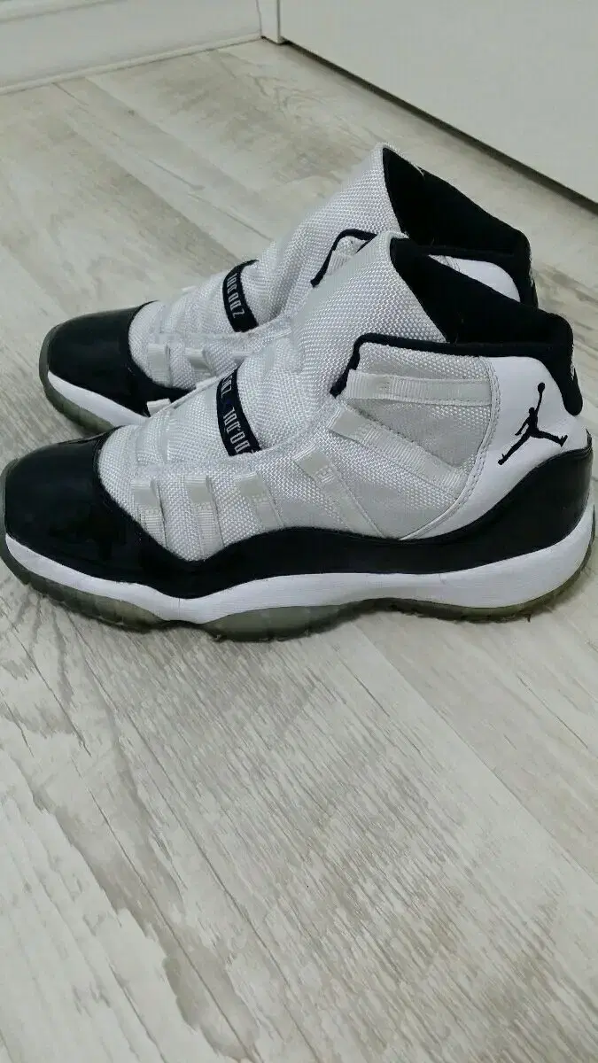 [240] Jordan11 Concorde 240 6Y for sale