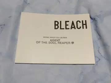 우라하라 키스케 BLEACH 설정 자료 소책자 이노우에 오리히메