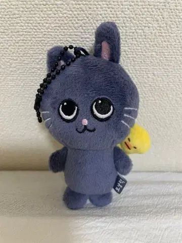 BABY RIIZE KEY RING 원빈 토냥독 8cm