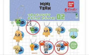 SEVENTEEN MINITEEN 미니틴 캡슐 토이 가챠가챠