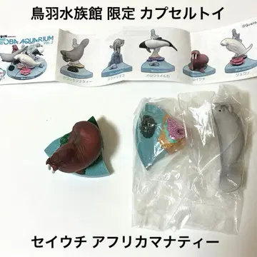 도바 수족관 한정판 가챠 바다코끼리 아프리카매너티