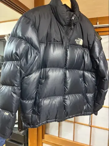 The North Face us 눕시 M 사이즈