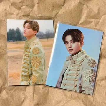 SUNFLOWER 야기 유세이 트레이딩 카드