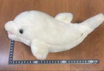 알파 당시 물건 흰돌고래 봉제 인형