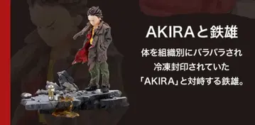 AKIRA 해양당 AKIRA와 테츠오 miniq 피규어