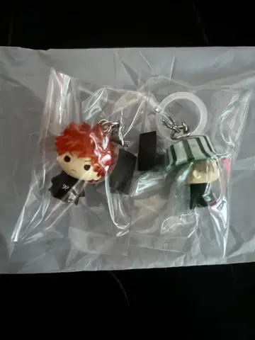 BLEACH 메지루시 쿠로사키 이치고 우라하라 키스케