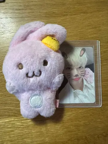 nct dream 재민 마그넷 인형