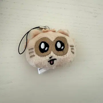 장하오 랜덤 키링