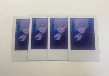 쿠츠하 가요제 폴라로이드