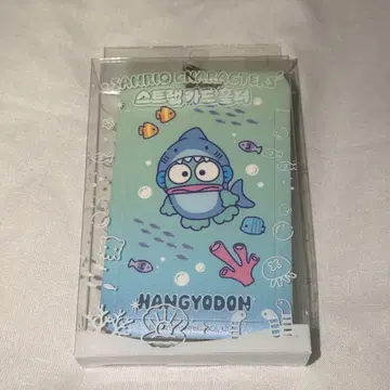 한국 한정판 한교동 패스 케이스