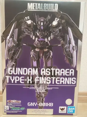 METAL BUILD 건담 아스트레아 TYPE-X 핀 스타니스