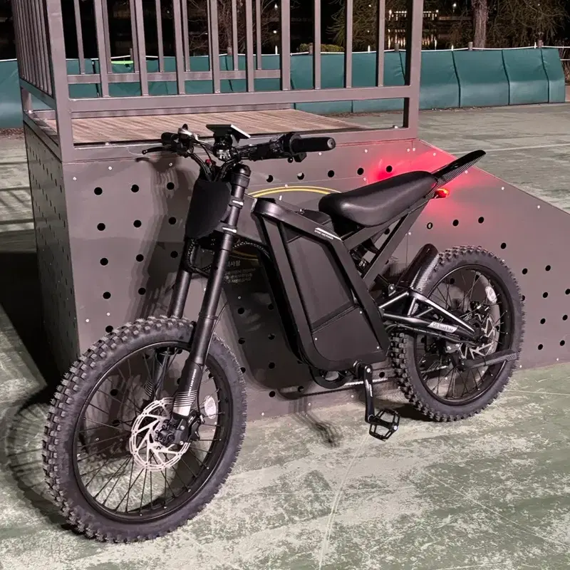 OUXI GT2000 전기자전거 자토바이 팝니다(대차X)