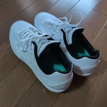 새상품 야구 스파이크 24.0cm MIZUNO 새상품