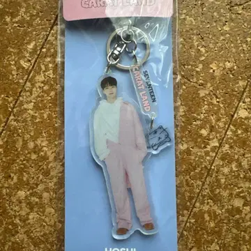 세븐틴 캐럿랜드 호시 아크릴 키링