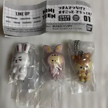MINITEEN 집어서 이어 붙이는 마스코트 3종 세트