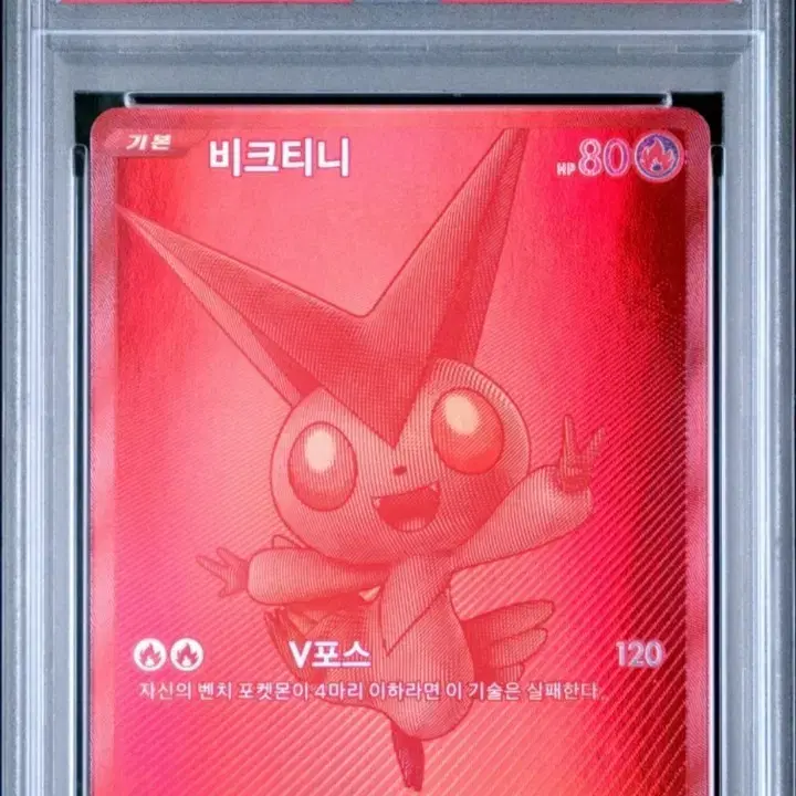 포켓몬 카드 비크티니 psa10 팝니다