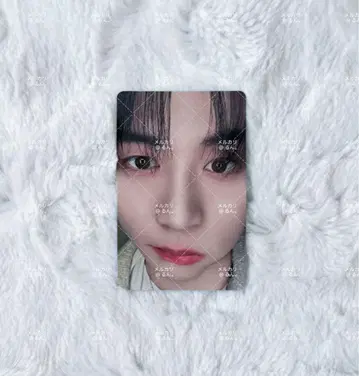 BOYNEXTDOOR 테산 home 시부야 타워 레코드 트레이딩 카드
