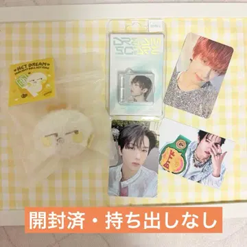 NCTDREAM 드림 드림쇼 앙콘 팬라이트 인형 지성