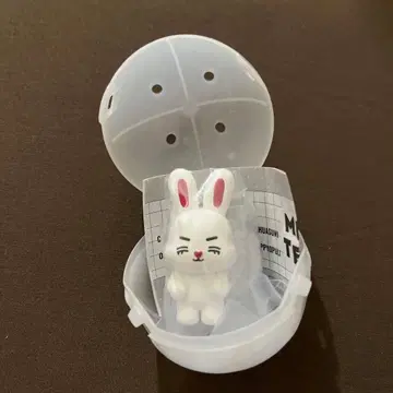 MINITEEN SEVENTEEN 캡슐 토이 카니칸 에스쿱스