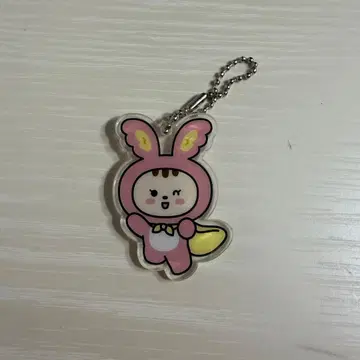 SEVENTEEN miniteen 정한 아크릴 키링