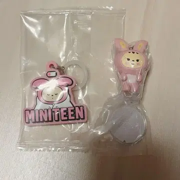 SEVENTEEN MINITEEN 정한 라무