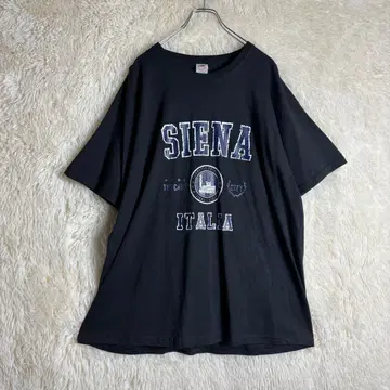 2XL T셔츠 프룻 오브 더 룸 관광 이탈리아 시에나 오버 사이즈