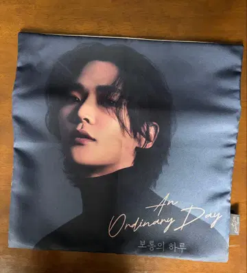 로운 공식 쿠션 커버 2024 An Ordinary Day
