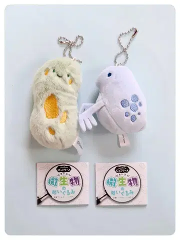 닛코리노 미생물 봉제 인형 짚신벌레&물벼룩 2개 세트