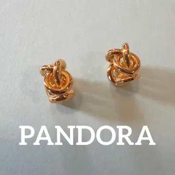 PANDORA 인피니티 노트 참 2개 세트