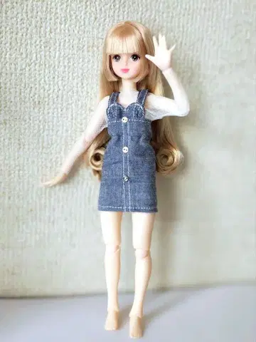 리카짱 캐슬 즐거운 인형 리카짱 프렌드 커스텀 미라이