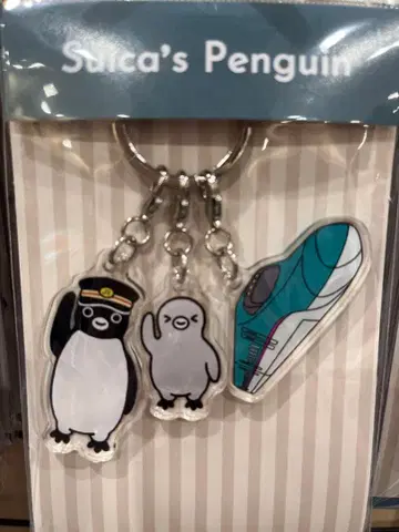 Suica's Penguin 아크릴 키링 3개 세트 타입