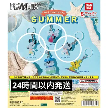 [ 3개 세트 ] PEANUTS 스누피 메지루시 액세서리 SUMMER