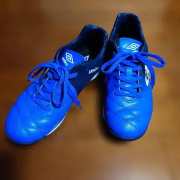 엄브로 축구 트레이닝 슈즈 블루 23.5cm
