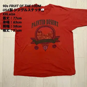 90s USA제 프룻 오브 더 룸 T셔츠 XXL 싱글 스티치