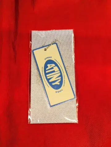 ATEEZ 키링 플레이트