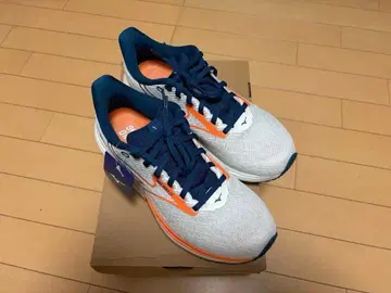 MIZUNO WAVE RIDER 29 27.0cm 새상품급 한정 컬러