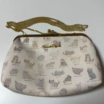 프랑슈리페 franche lippee 고양이 도감