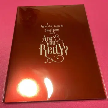 팜플렛 Are You Red.Y? 야마다 료스케 2026 돔