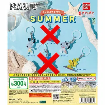PEANUTS SUMMER 메지루시 액세서리 3개 세트