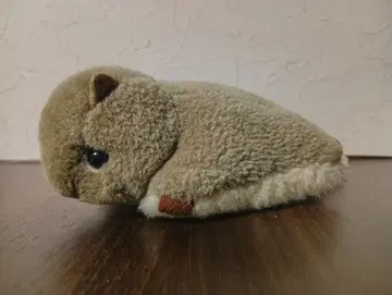 모몽가 야마네 공방 누이싸개